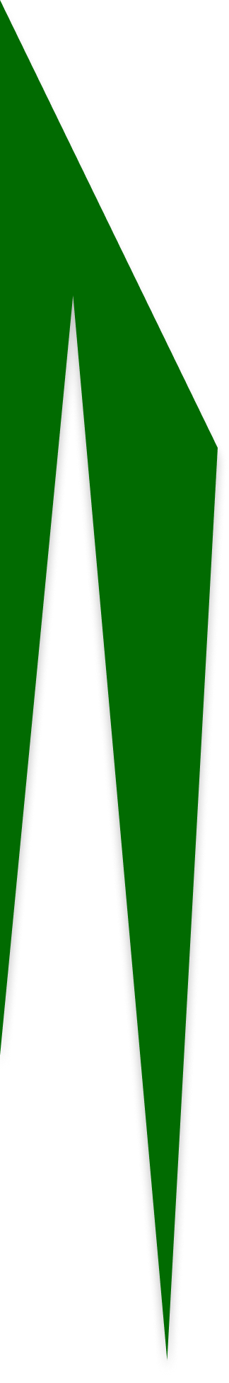 Left Polygon